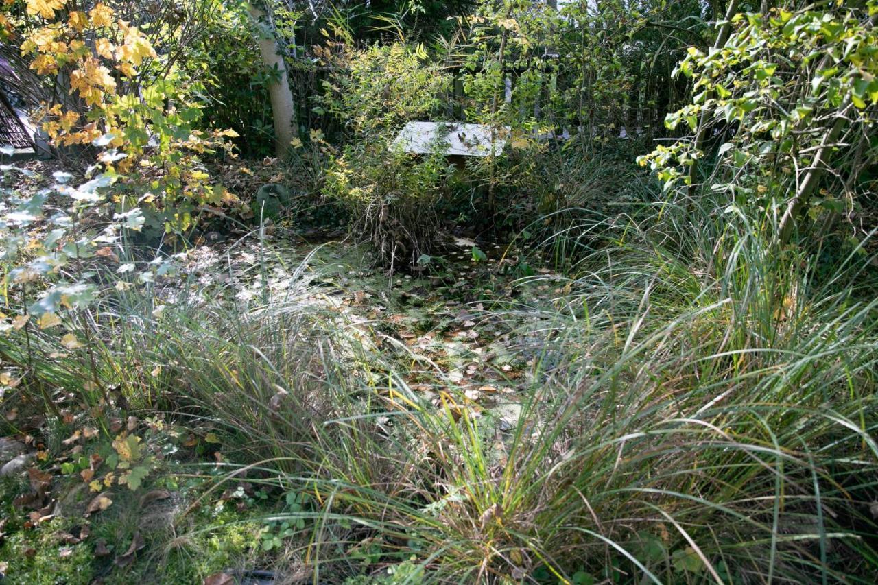 Family Wellhouse Green Garden Direct In Salzburg, Sunny Big Garden, Up To 16 Pax, Bikes For Free, Bbq, Sunbeds, Parking For Free, 15 Min Sound Of Music Exterior foto
